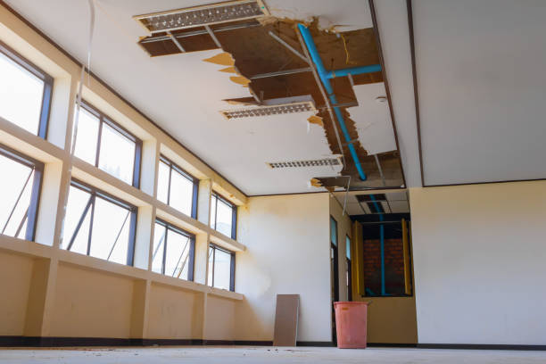 Best Flood damage cleanup  in Reserve, LA