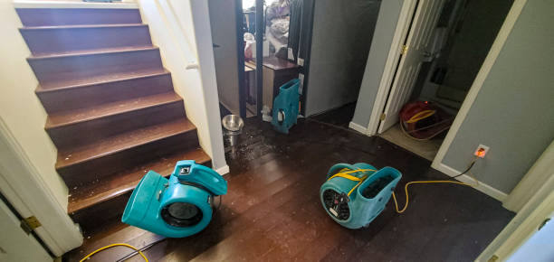 Best Local water damage restoration  in Reserve, LA