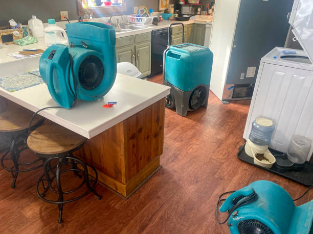 Water damage restoration mold remediation in LA