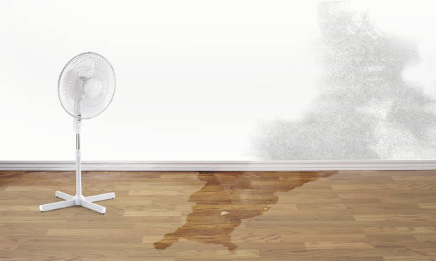 Best Commercial water damage restoration  in Reserve, LA