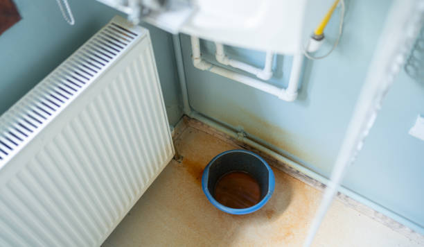 Best Carpet water damage restoration  in Reserve, LA