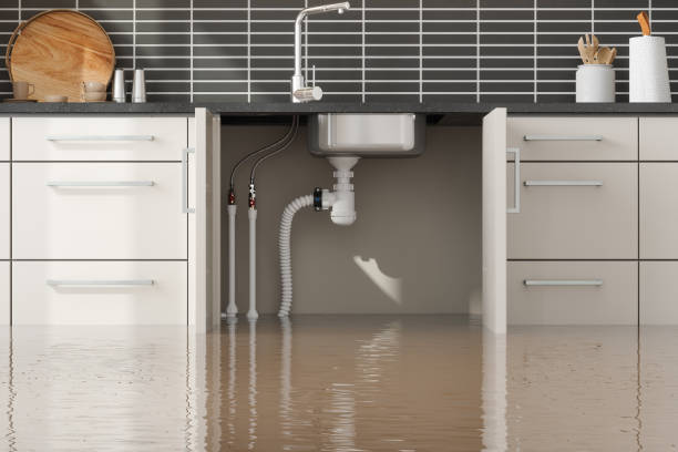 Best Ceiling water damage repair  in Reserve, LA